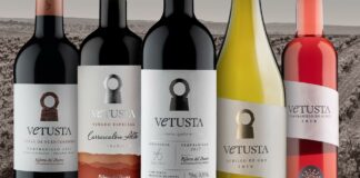 bodega de vinos