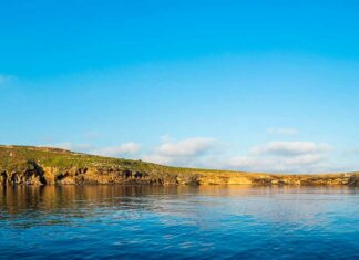 excursiones islas columbretes